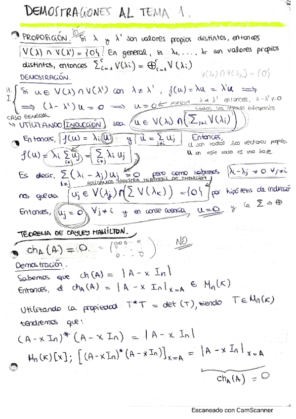 Miniatura del documento DEMOSTRACIONESALSMD.pdf