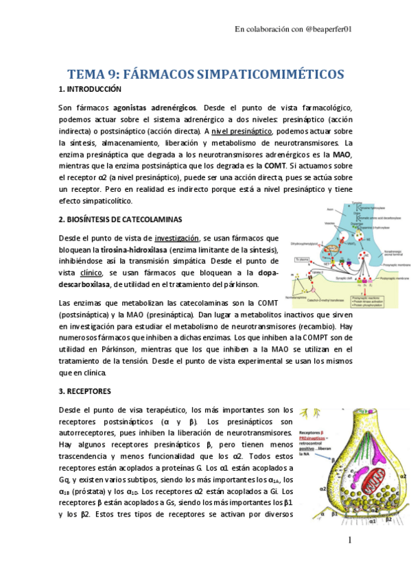 Miniatura del documento TEMA-9.pdf