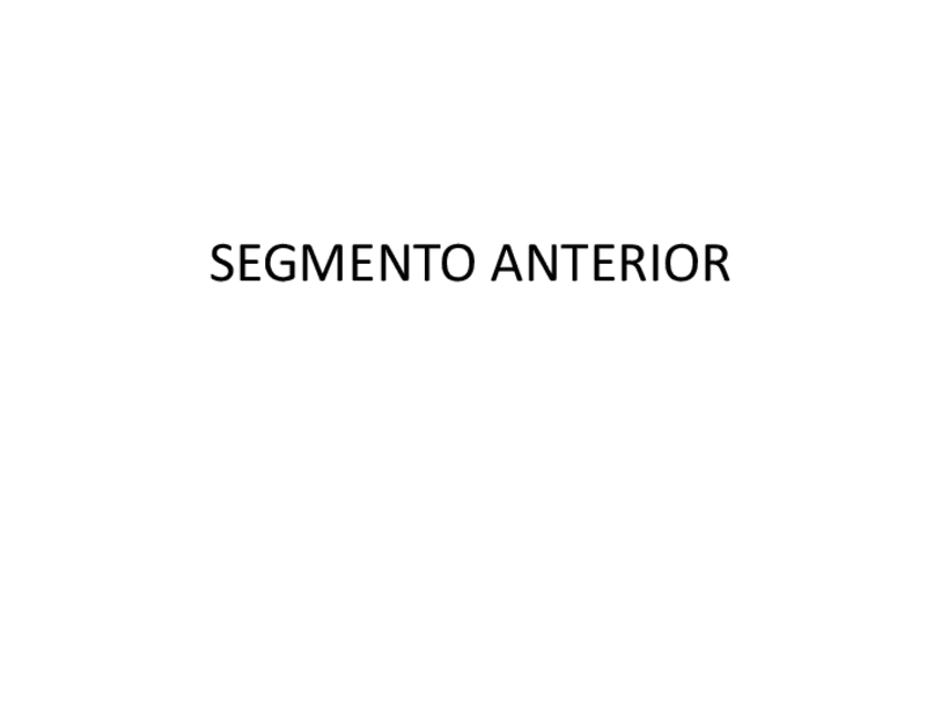 Miniatura del documento Segmento-anterior-CON-RESPUESTAS-1-1.pdf