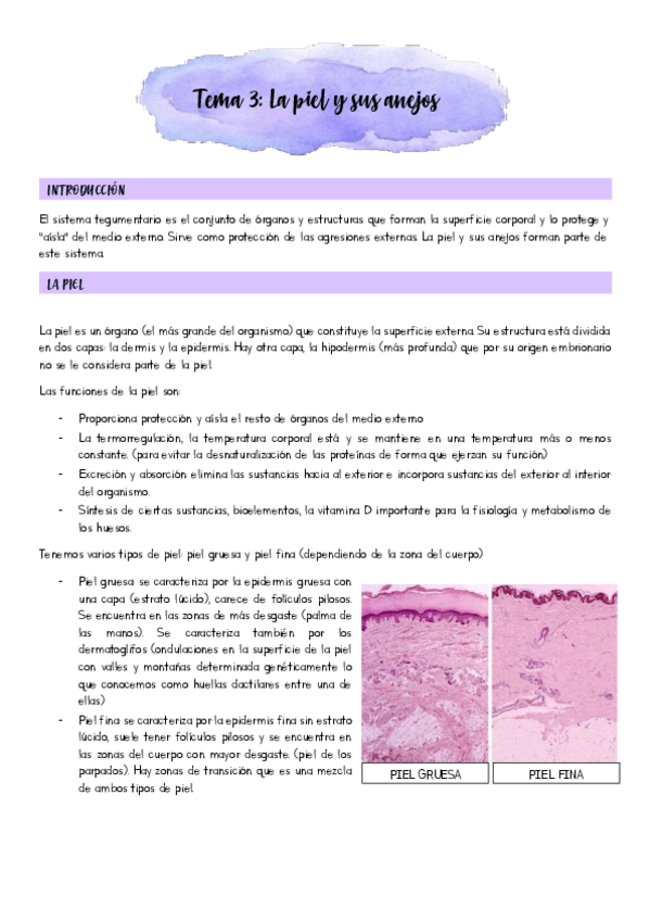 Miniatura del documento Tema-2.pdf