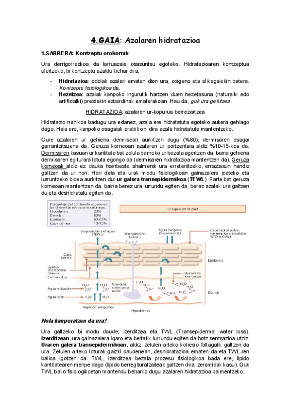 Miniatura del documento 4.pdf