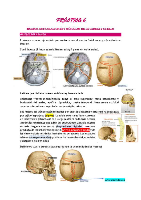 Miniatura del documento PRACTICA-6.pdf