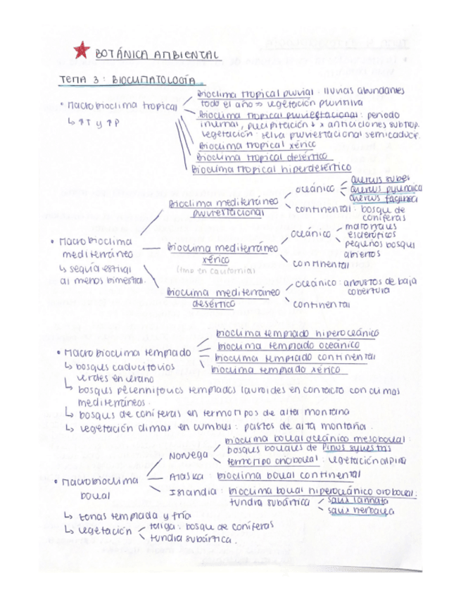 Miniatura del documento ESTRELLAS-ROJAS.pdf