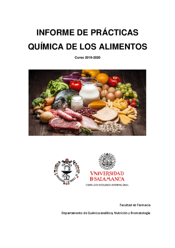 Miniatura del documento informe-de-practicas.pdf