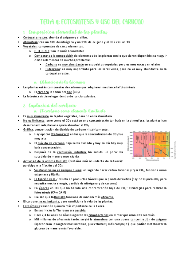 Miniatura del documento TEMA-4-Fotosintesis-y-uso-del-carbono.pdf