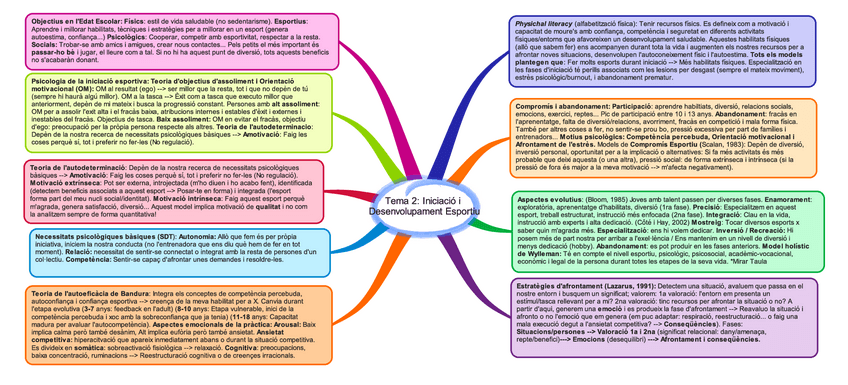 Miniatura del documento Tema-2-Iniciacio-i-Desenvolupament-Esportiu.pdf
