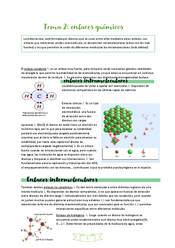 Miniatura del documento tema-2-BIOLOGIA.pdf