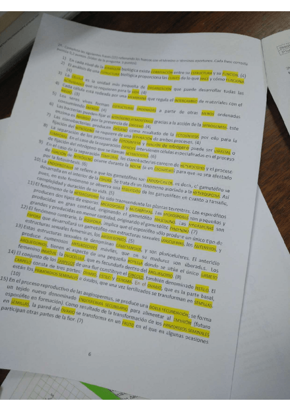 Miniatura del documento IMG20200220092337931.pdf