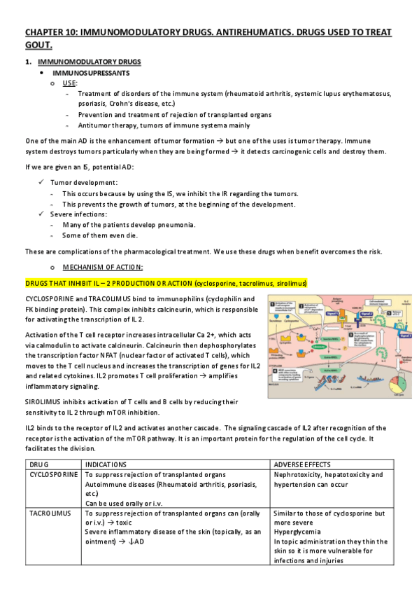 Miniatura del documento CHAPTER-10.pdf