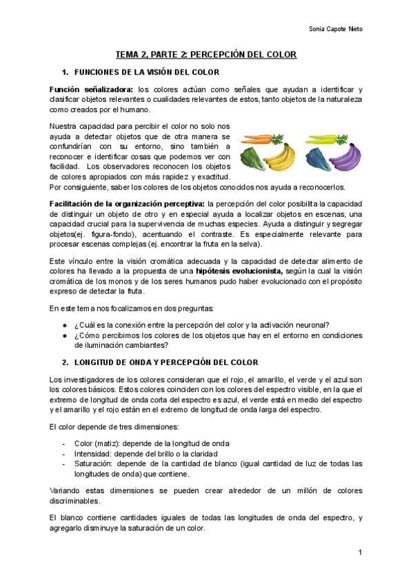 Miniatura del documento TEMA-2-P2-PERCEPCION-DEL-COLOR-Documentos-de-Google.pdf