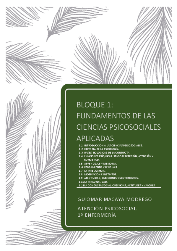 Miniatura del documento APUNTES-BLOQUE-1-ATENCION-PSICOSOCIALpdf.pdf