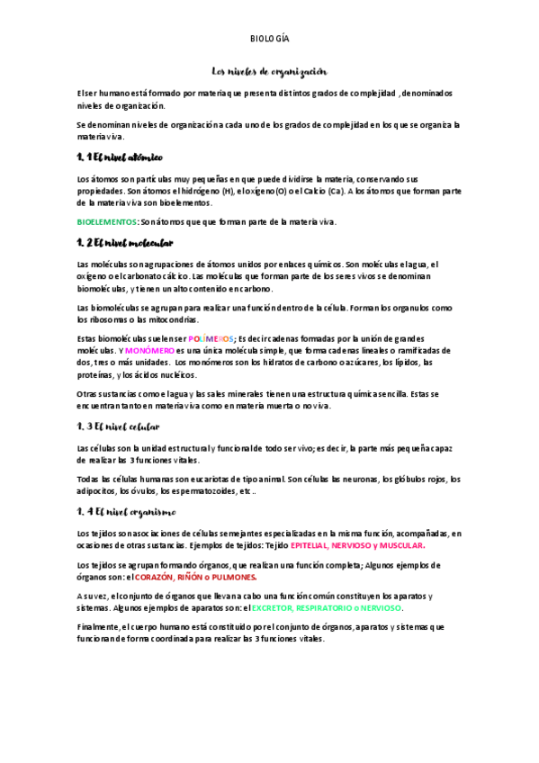Miniatura del documento NIVELES-DE-ORGANIZACION-.pdf