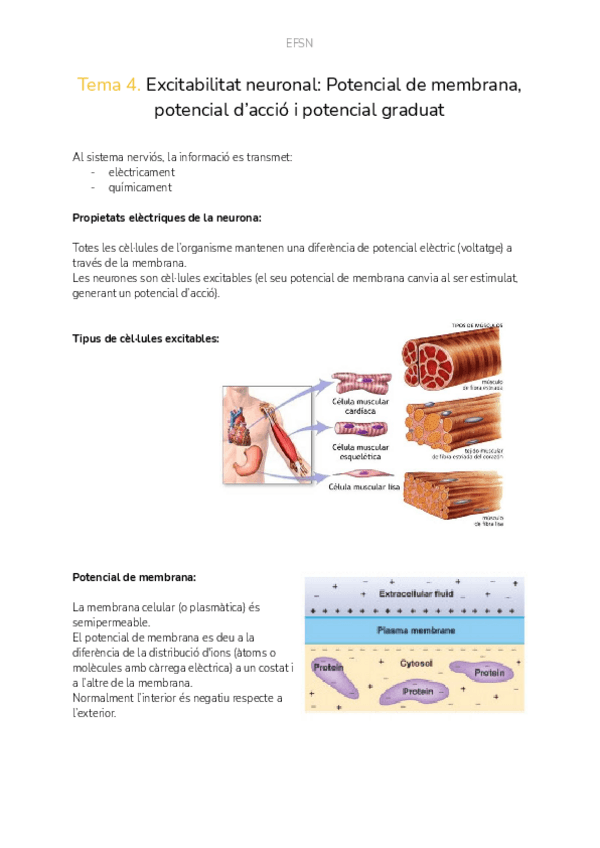 Miniatura del documento EFSNTemes4-6.pdf