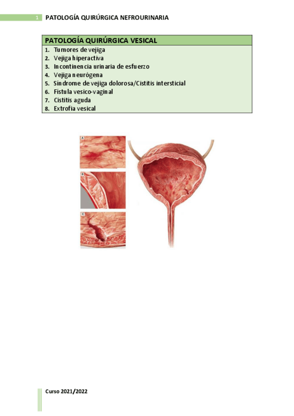 Miniatura del documento TERCER-BLOQUE.pdf
