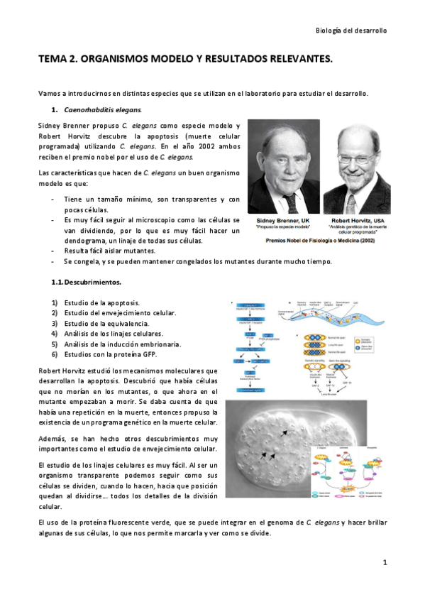Miniatura del documento Tema-2.pdf