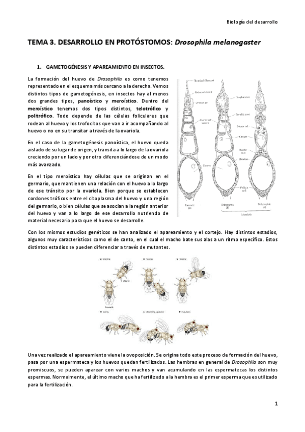 Miniatura del documento Tema-3.pdf