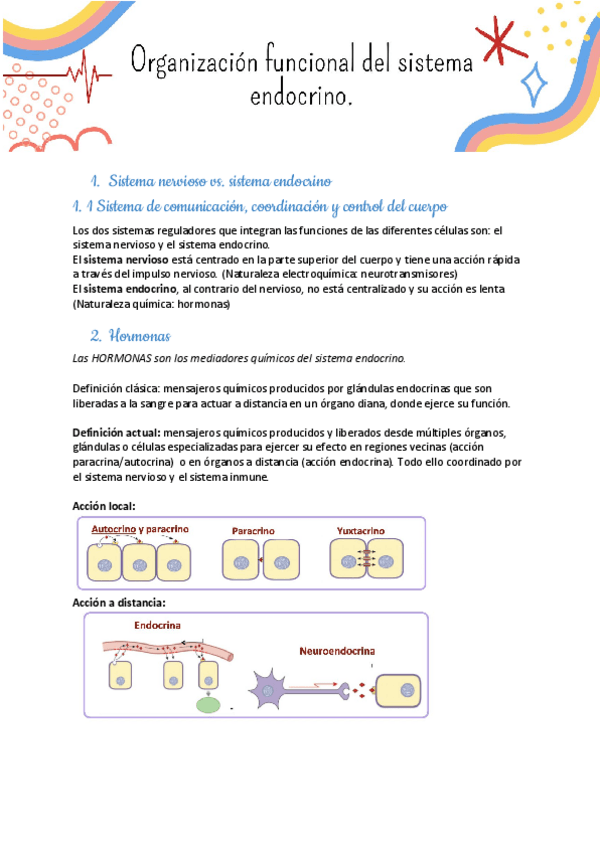 Miniatura del documento SISTEMA-ENDOCRINO.pdf