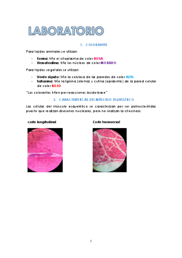 Miniatura del documento APUNTES LABORATORIO.pdf
