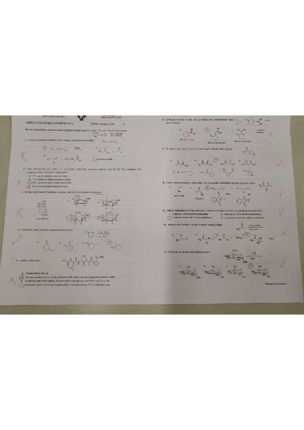 Miniatura del documento 1.pdf