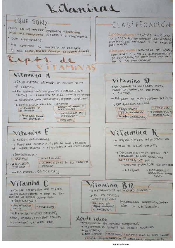 Miniatura del documento vitaminas.pdf