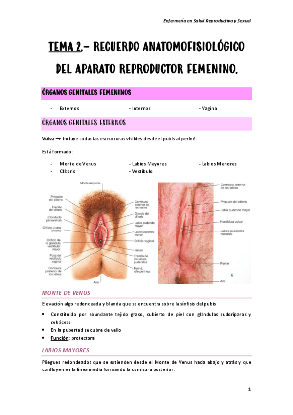 Miniatura del documento TEMA-2.pdf