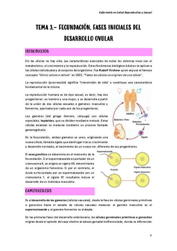 Miniatura del documento TEMA-3.pdf