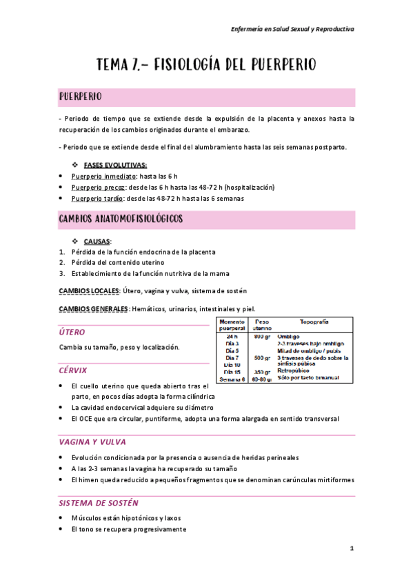 Miniatura del documento TEMA-7.pdf