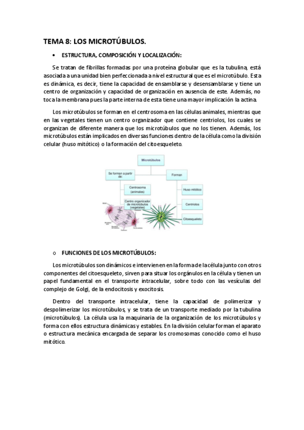 Miniatura del documento T-8.pdf