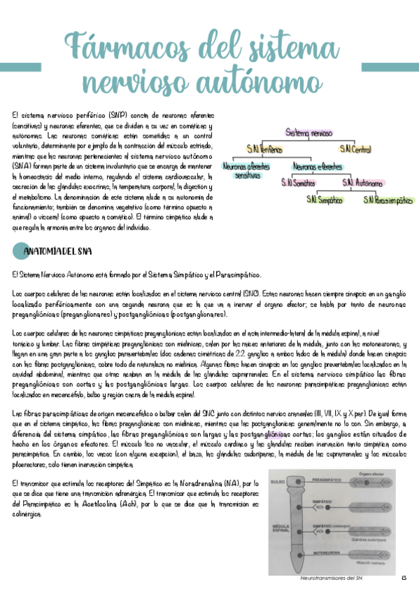 Miniatura del documento T2-Farmacos-del-sistema-nervioso-autonomo.pdf