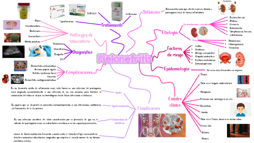 Miniatura del documento Pielonefritis.pdf