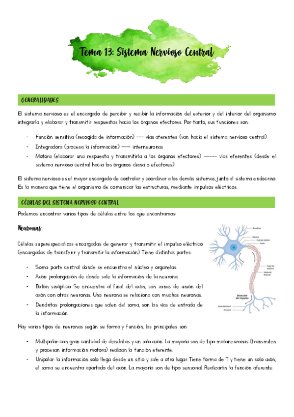 Miniatura del documento Tema-13.pdf