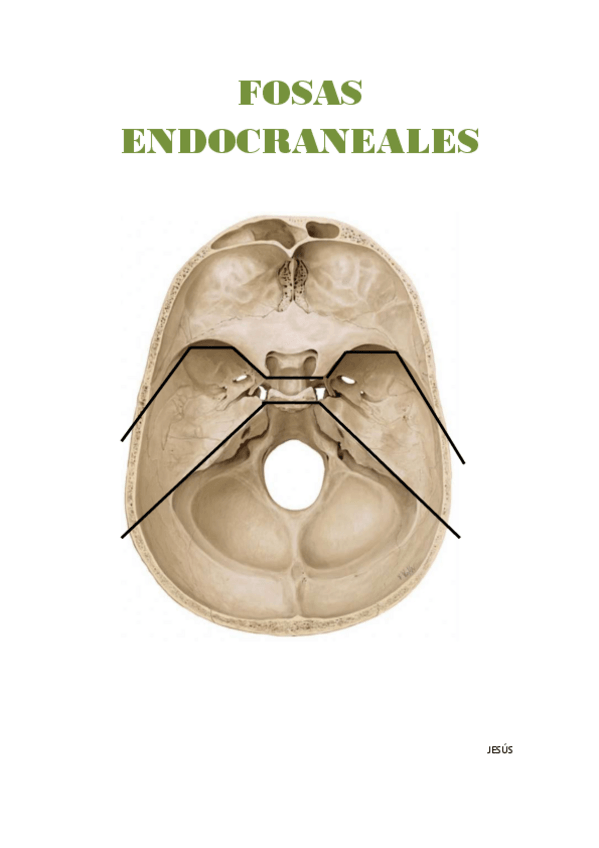 Miniatura del documento Fosas Endocraneales.pdf