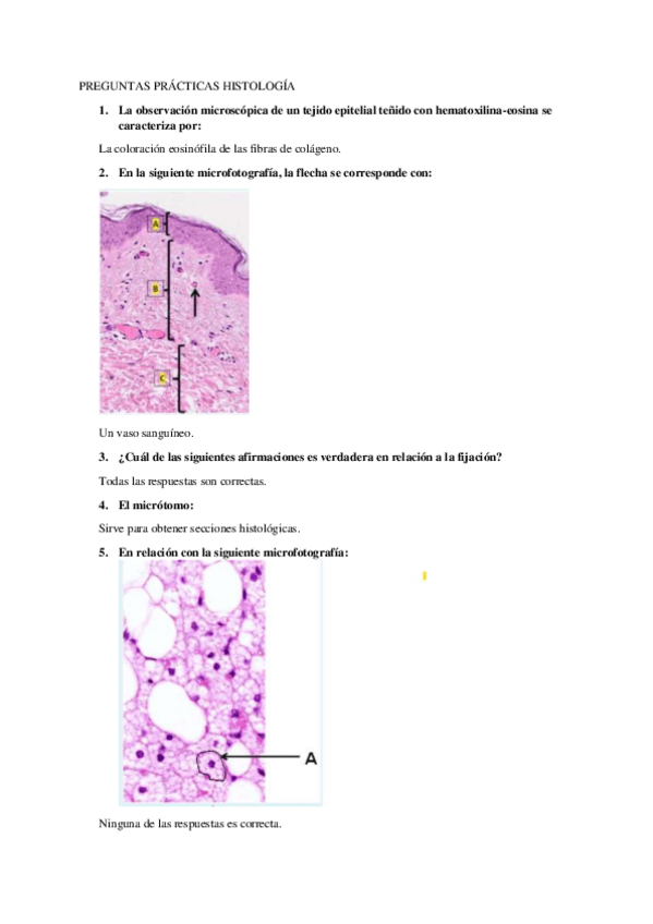 Miniatura del documento PREGUNTAS-PRACTICAS-HISTOLOGIA.pdf