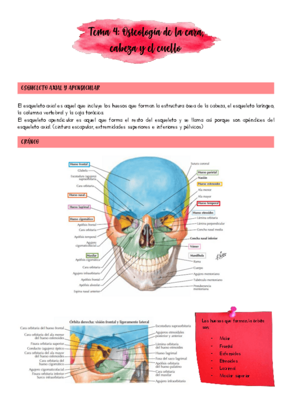 Miniatura del documento Tema-4.pdf