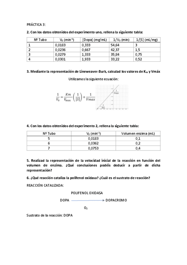 Miniatura del documento Cuestiones-practica-3.pdf
