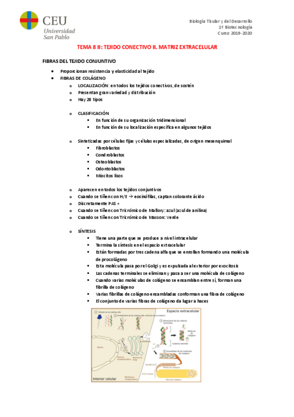 Miniatura del documento TEMA-8-II.pdf