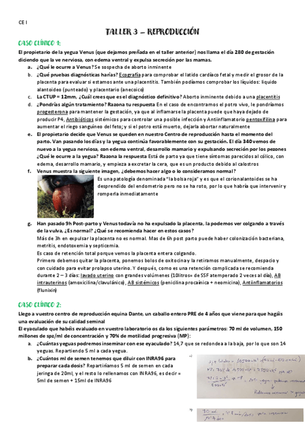 Miniatura del documento CE-I-TALLER-3-REPRO.pdf