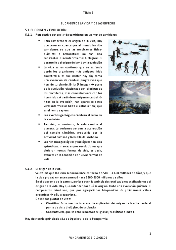 Miniatura del documento TEMA-5.pdf