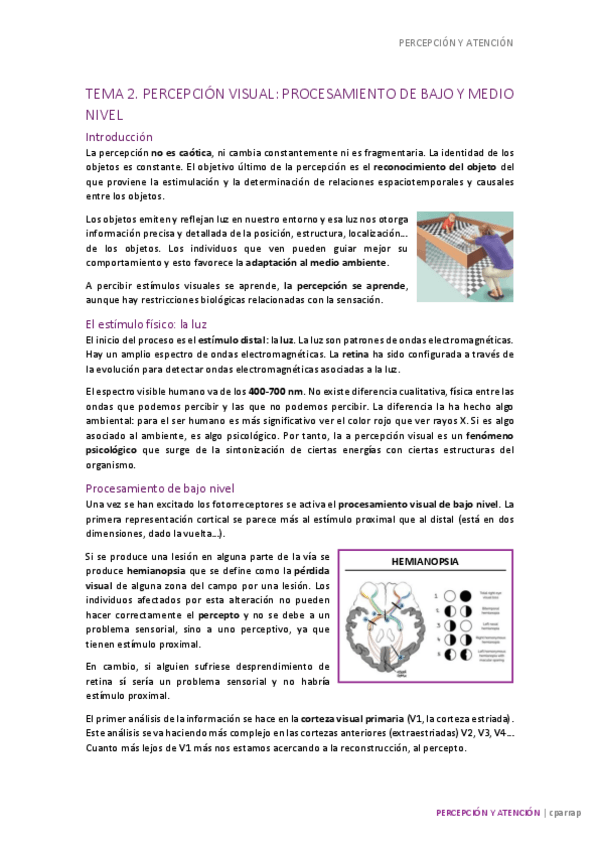 Miniatura del documento PERCT2-completo.pdf
