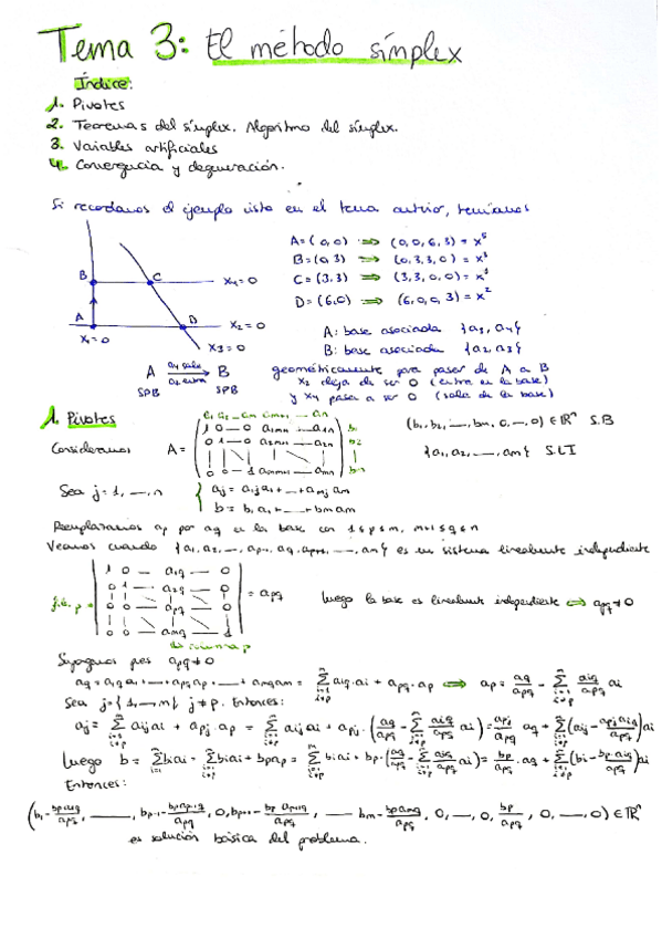 Miniatura del documento TEMA-3-OPTIMIZACION.pdf