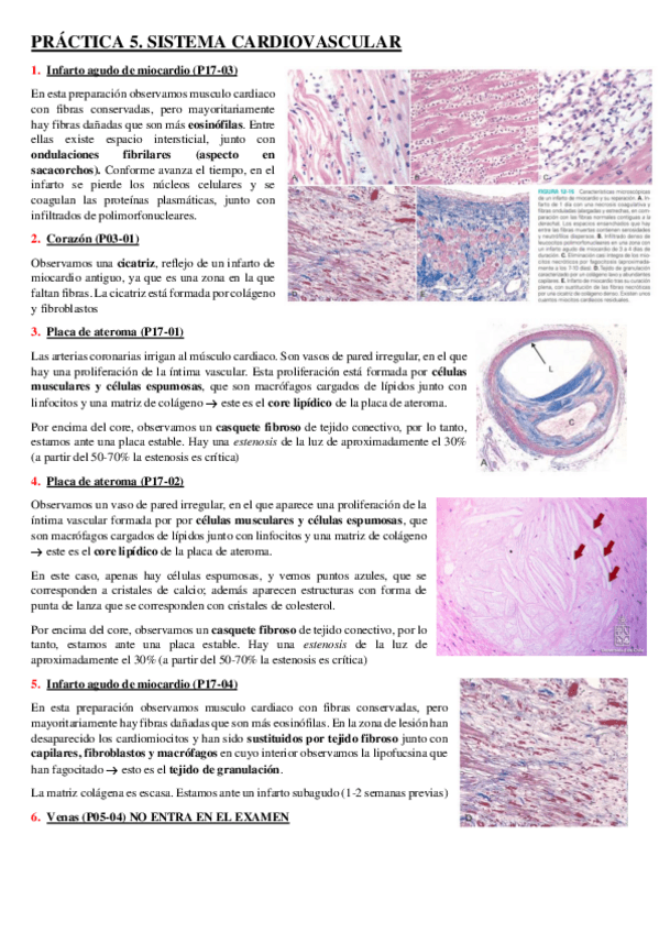 Miniatura del documento APUNTES-PRACTICAS-5-12-AP.pdf