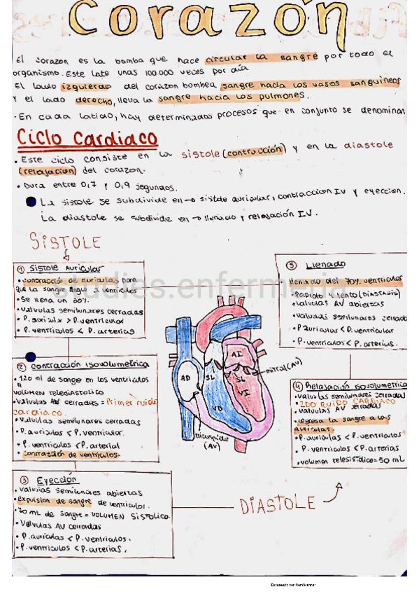 Miniatura del documento cardio.pdf