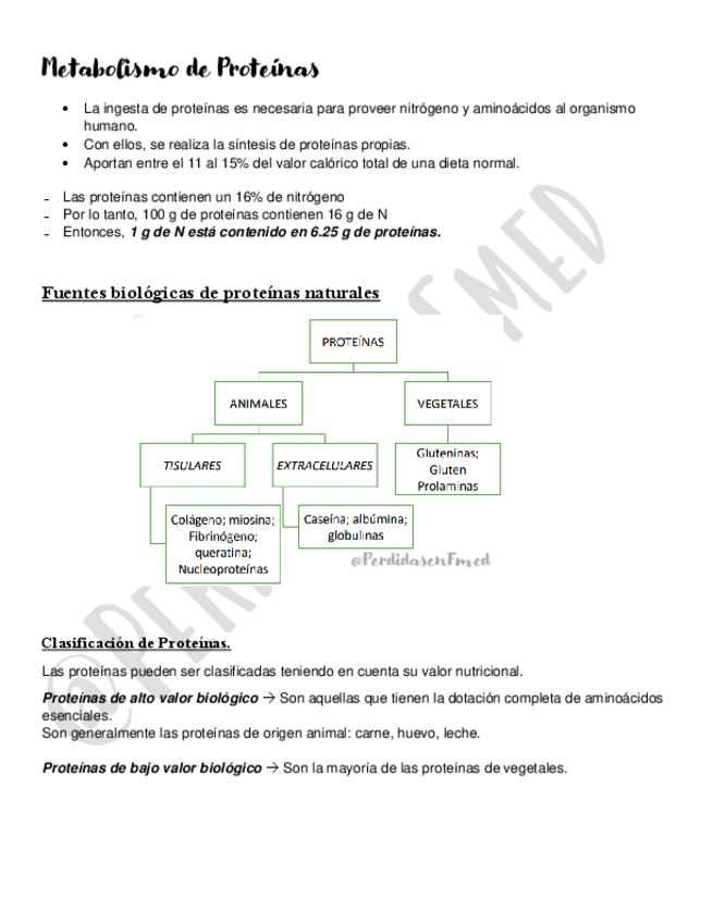 Miniatura del documento Metabolismo-de-Proteinas.pdf