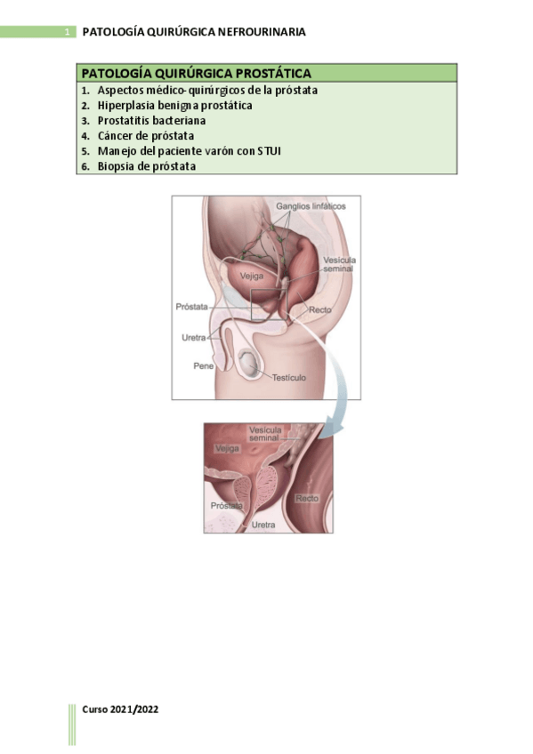 Miniatura del documento BLOQUE-5.pdf