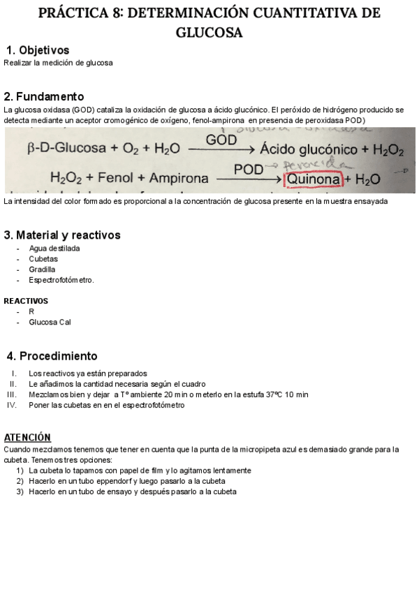 Miniatura del documento PRACTICA-N-8-BIOQUIMICA.pdf