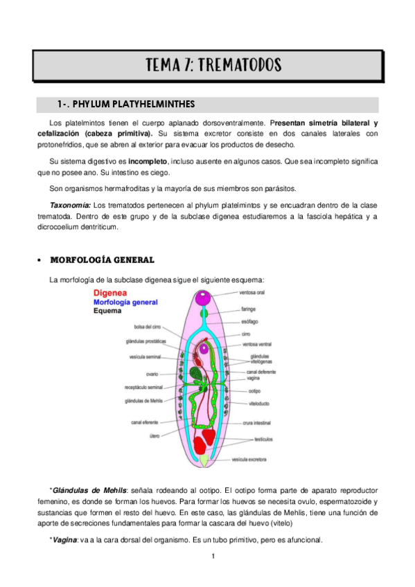 Miniatura del documento TEMA-7.pdf