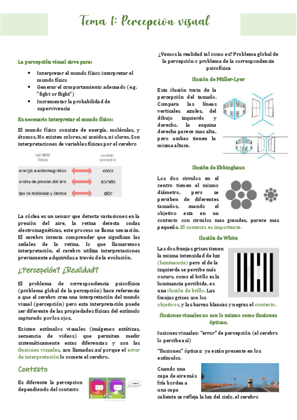 Miniatura del documento TEMA-1-Percepcio.pdf
