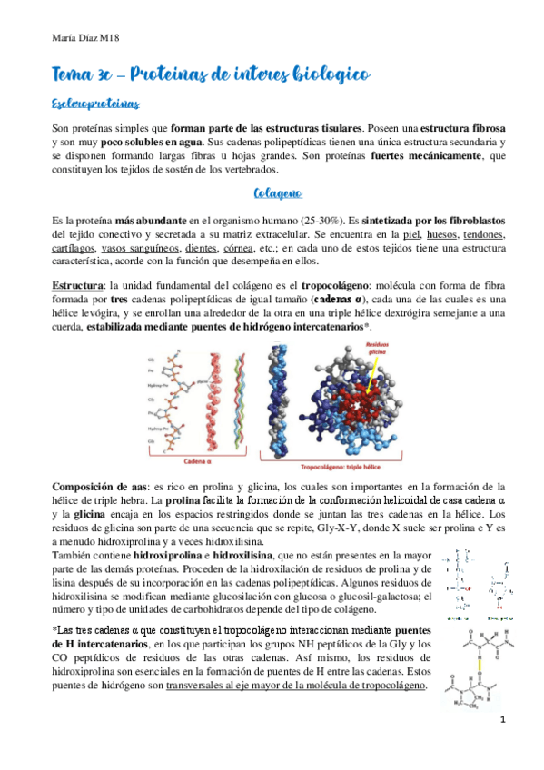 Miniatura del documento t3c.pdf