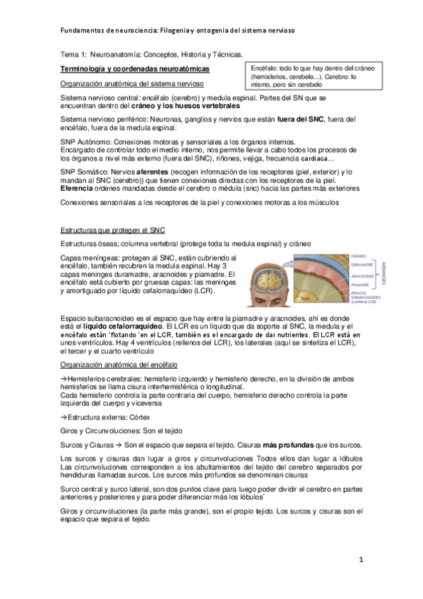 Miniatura del documento Teoria-1-3.pdf