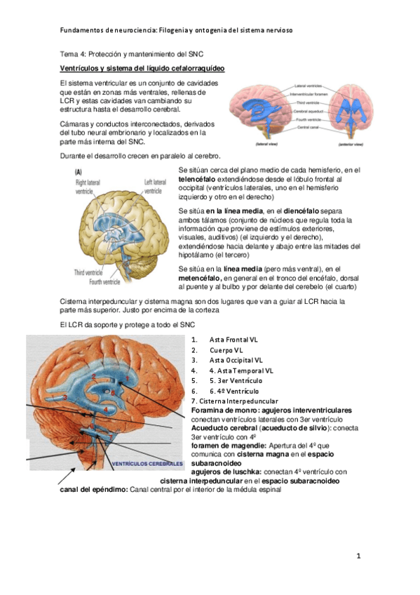 Miniatura del documento Tema-4-5.pdf
